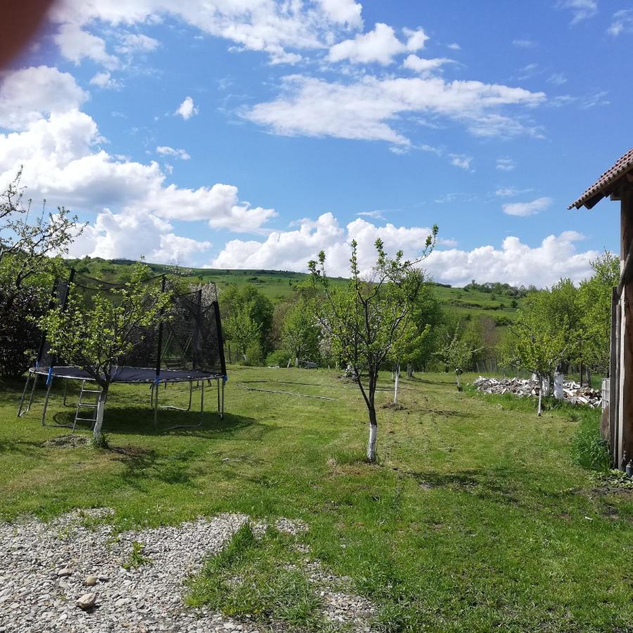 Casa din Barcut Guest House Bagian luar foto
