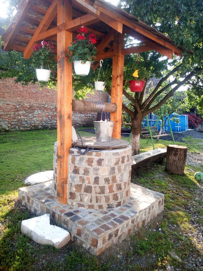 Casa din Barcut Guest House Bagian luar foto