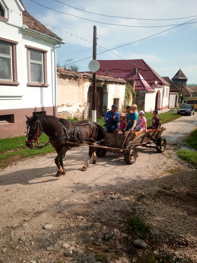 Casa din Barcut Guest House Bagian luar foto