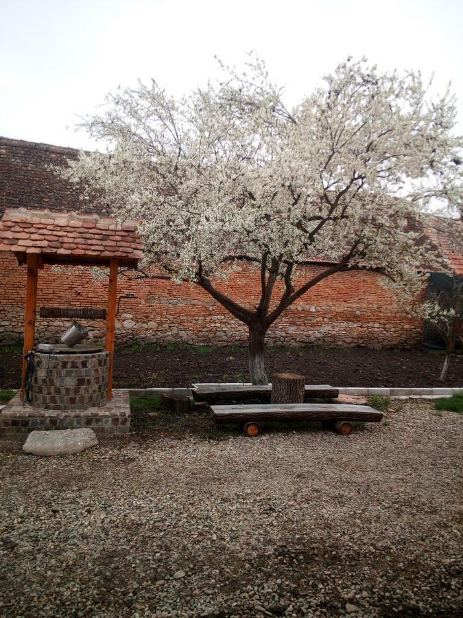 Casa din Barcut Guest House Bagian luar foto